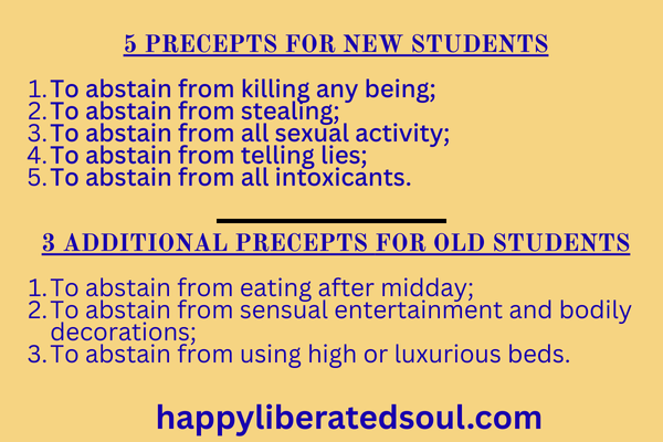 All Precepts of vipassana- Happy liberated soul